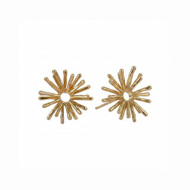 Pendientes Naya
